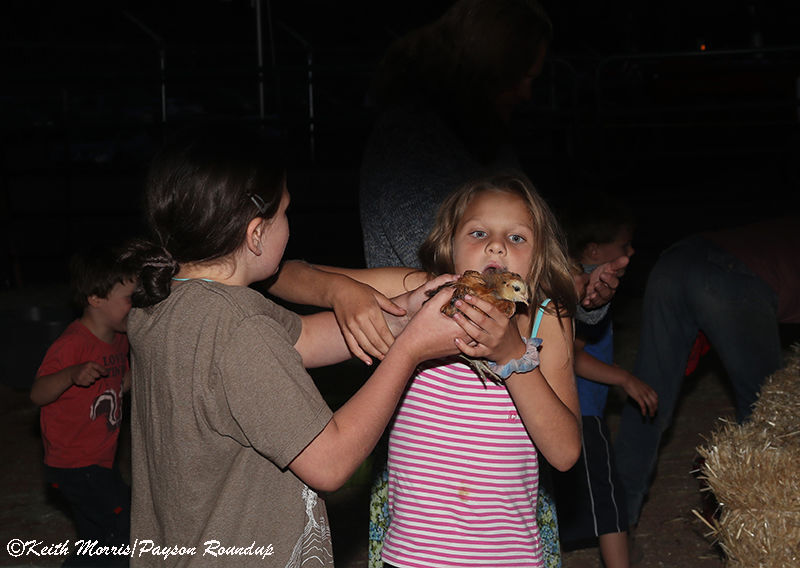 Fair-Sisters With Chick w800pix